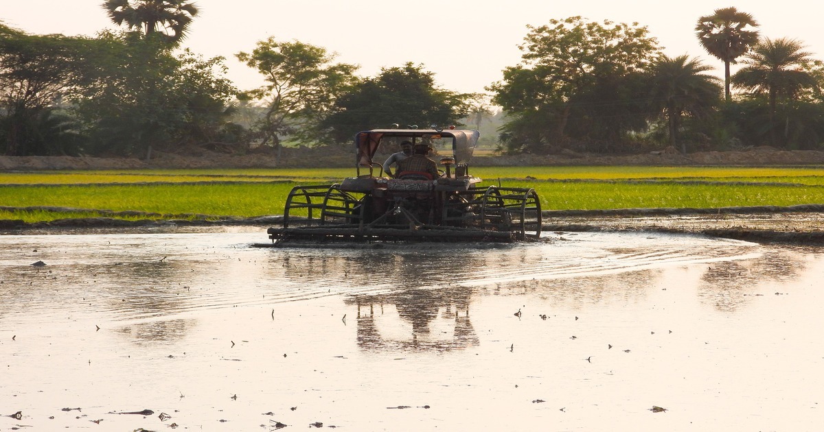 A field in India